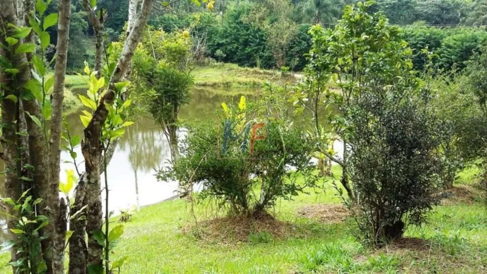 Sítio, 7 quartos, 19 hectares - Foto 12