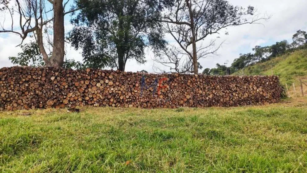 Sítio, 7 quartos, 19 hectares - Foto 4