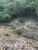 Terreno, 707 m² - Foto 3
