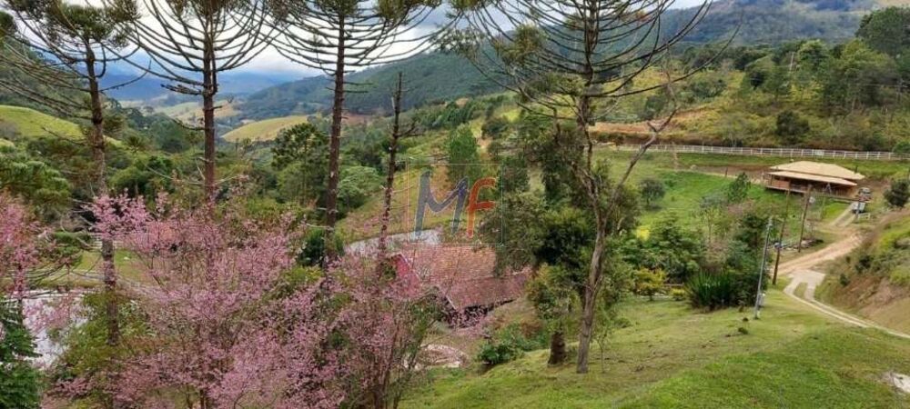 Chácara à venda com 2 quartos, 204m² - Foto 10
