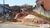 Terreno, 154 m² - Foto 3