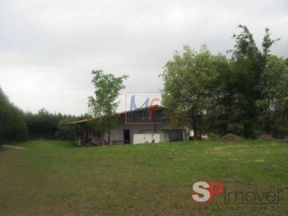 Terreno, 16090 m² - Foto 4