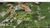 Terreno, 110080 m² - Foto 1