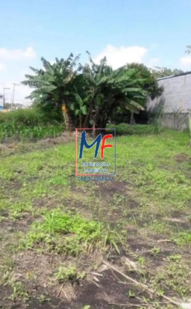 Terreno, 6000 m² - Foto 5