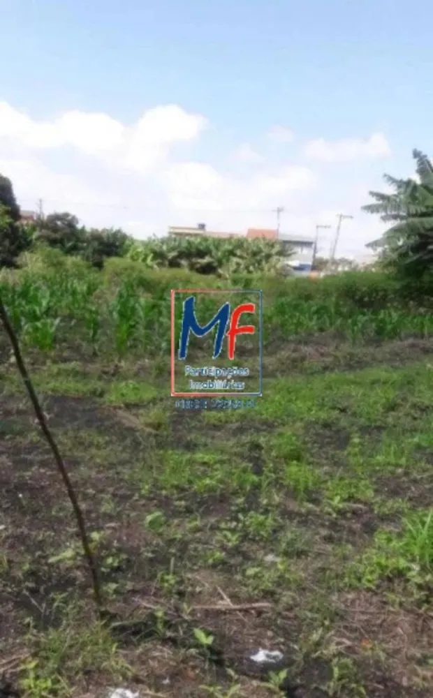 Terreno, 6000 m² - Foto 6