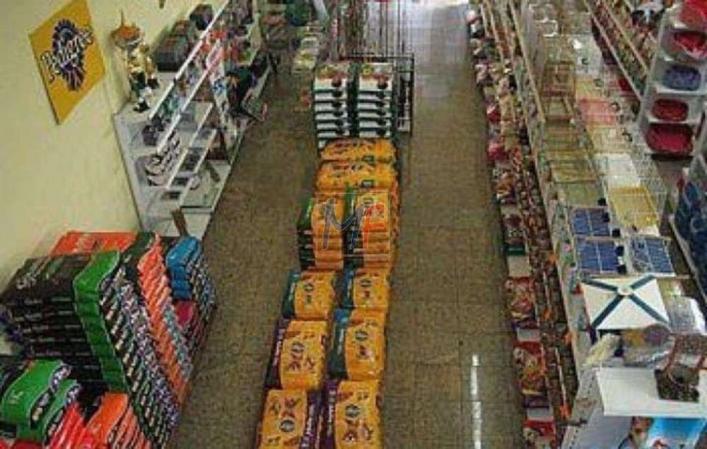 Prédio Inteiro, 1100 m² - Foto 12