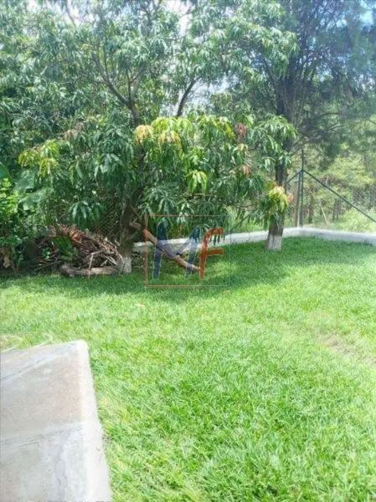 Chácara, 5 quartos - Foto 12