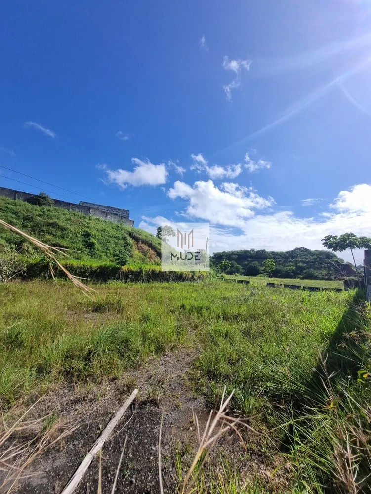 Depósito-Galpão, 5000 m² - Foto 3