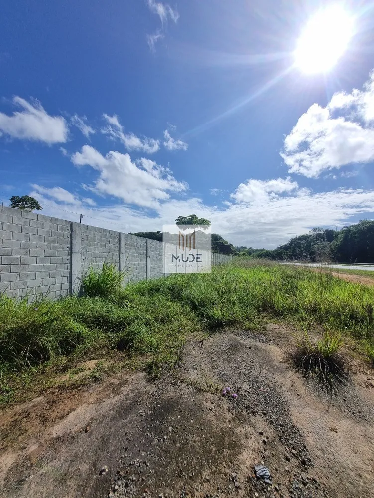 Depósito-Galpão, 5000 m² - Foto 2