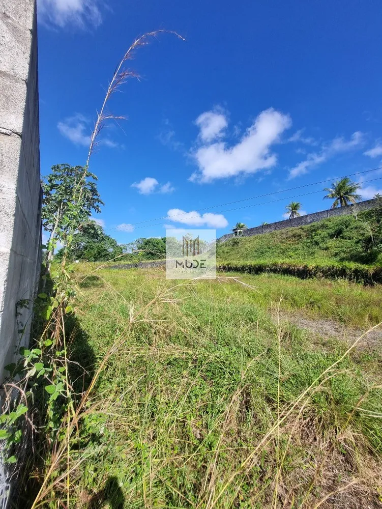 Depósito-Galpão, 5000 m² - Foto 4