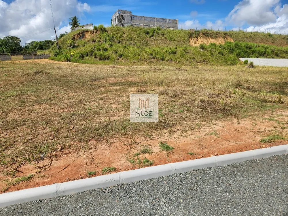 Depósito-Galpão, 5000 m² - Foto 6