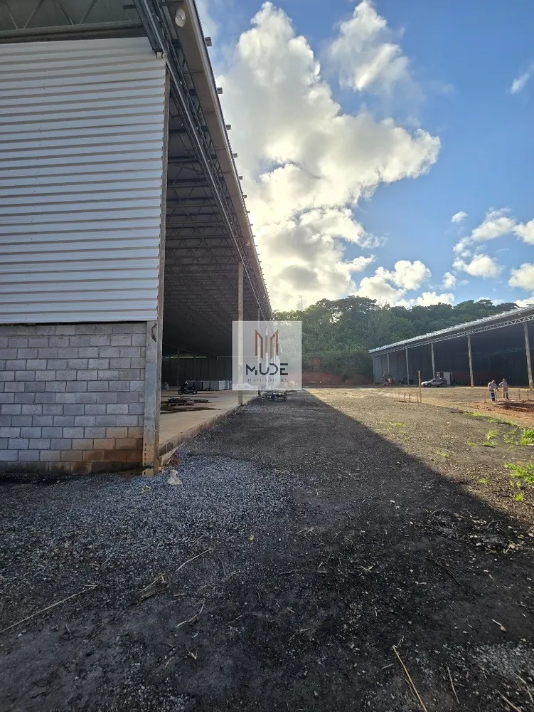 Depósito-Galpão - Foto 4