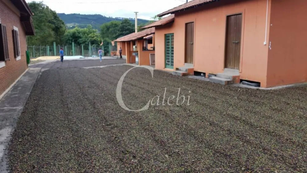 Terreno, 6 hectares - Foto 5