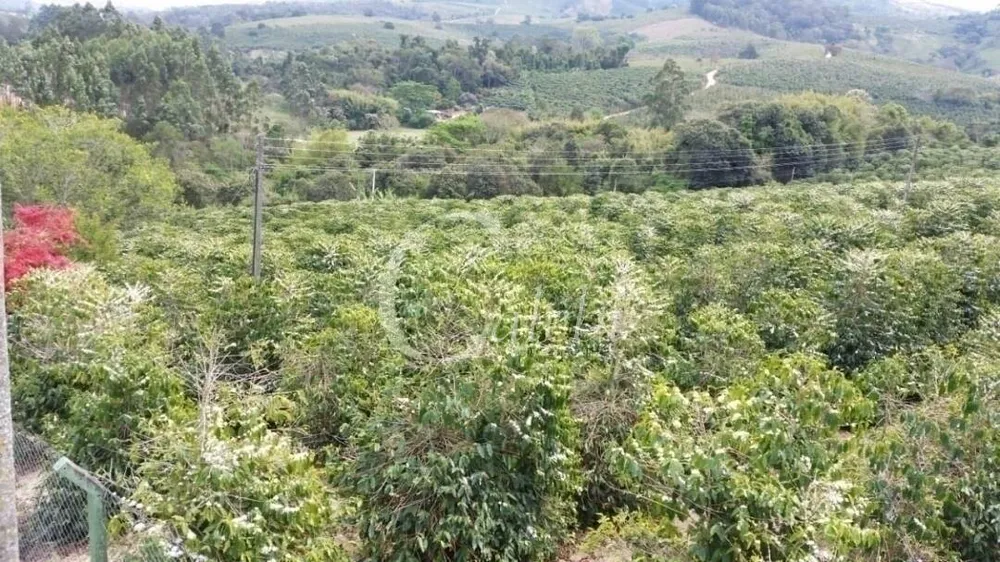 Terreno, 6 hectares - Foto 13