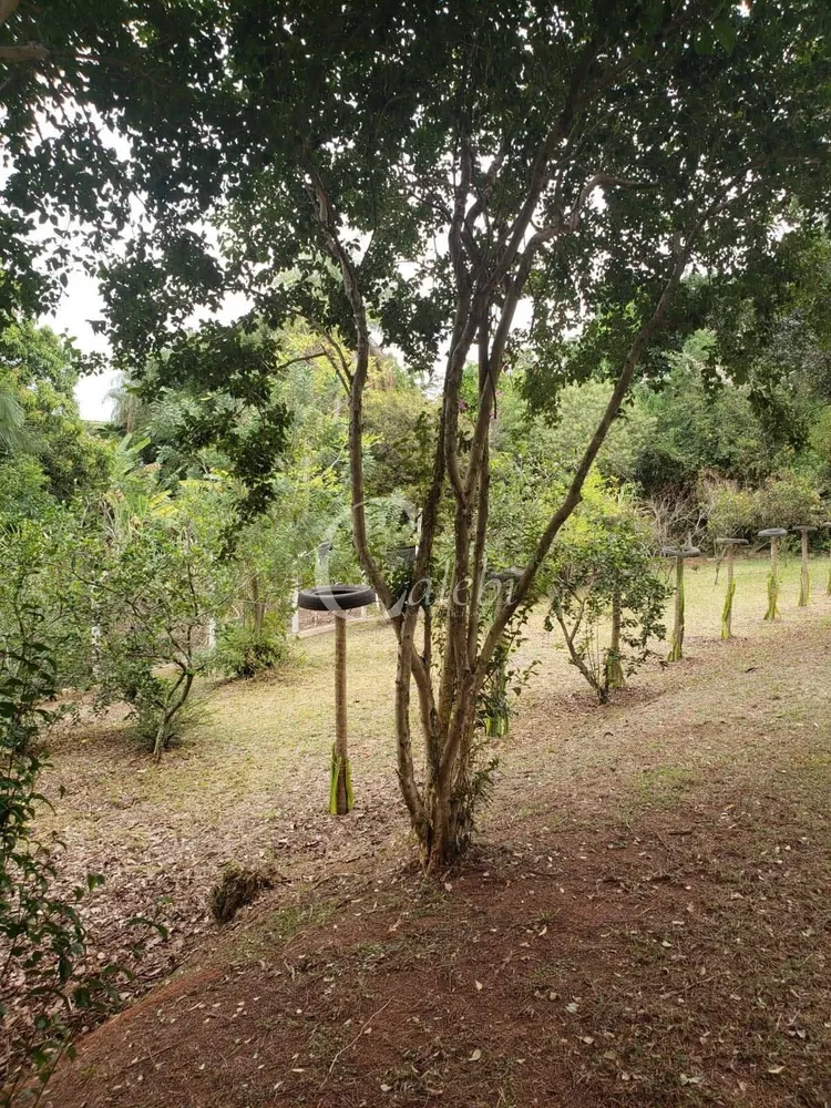 Sítio, 2 quartos, 4538 m² - Foto 3