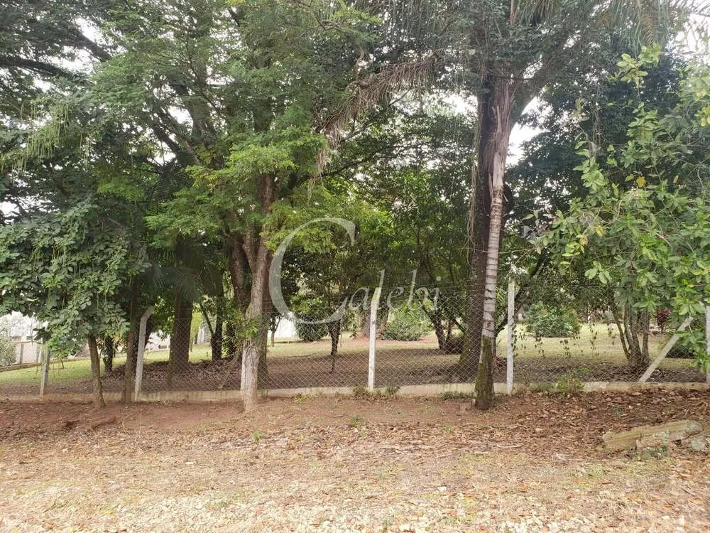 Chácara, 2 quartos, 4538 m² - Foto 4