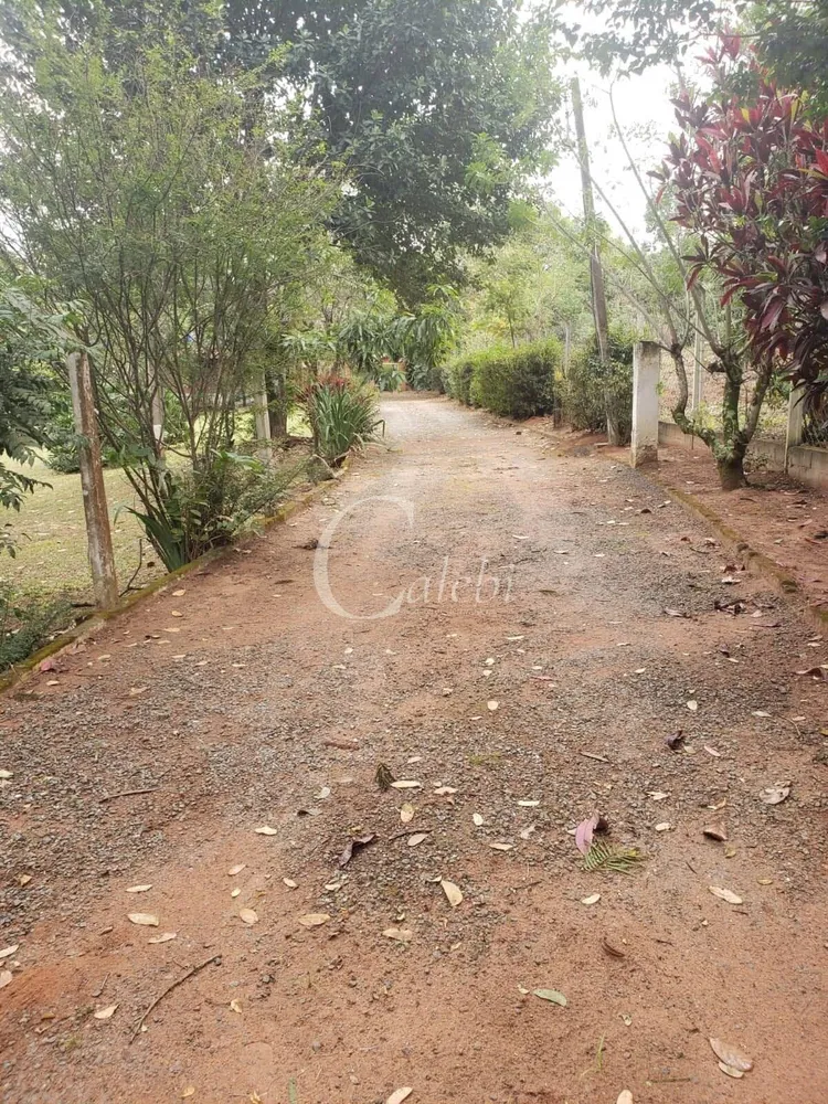 Sítio, 2 quartos, 4538 m² - Foto 2