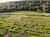 Terreno, 2 m² - Foto 2