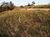 Terreno, 2 m² - Foto 4