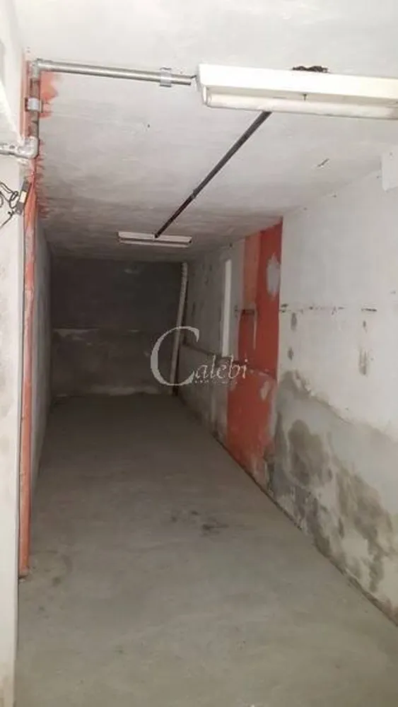 Casa, 3 quartos, 250 m² - Foto 15