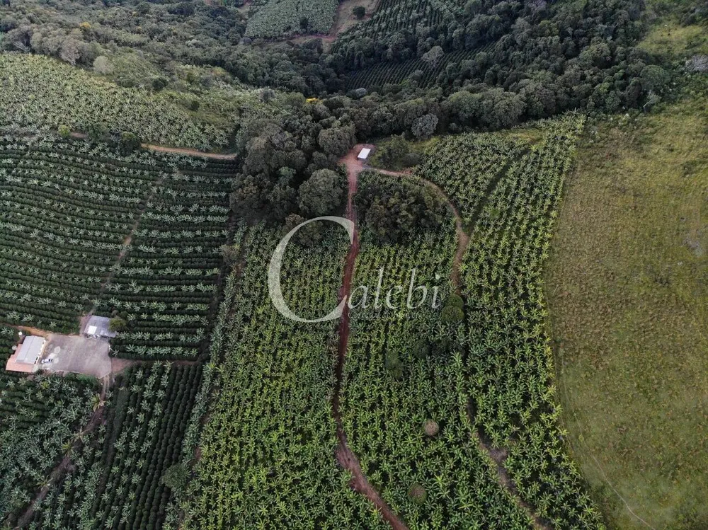 Terreno, 8 hectares - Foto 13