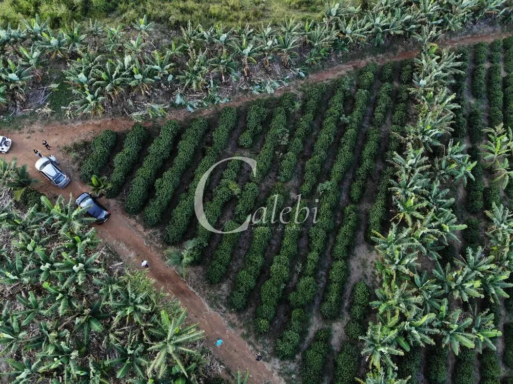 Terreno, 8 hectares - Foto 15