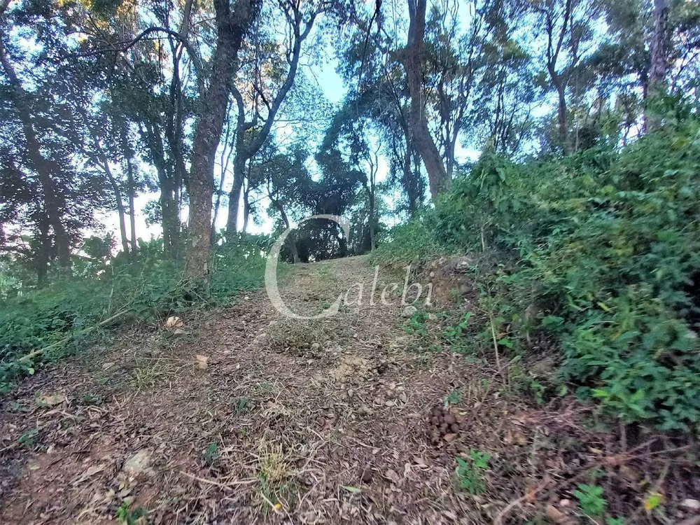 Terreno, 8 hectares - Foto 8