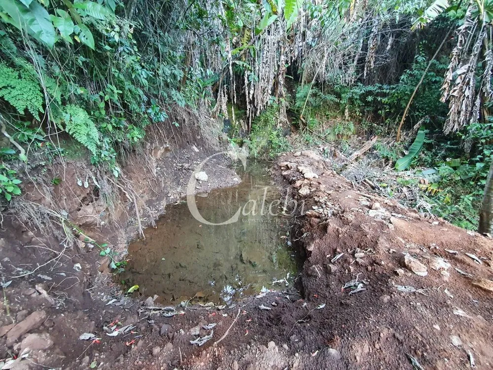 Terreno, 8 hectares - Foto 10