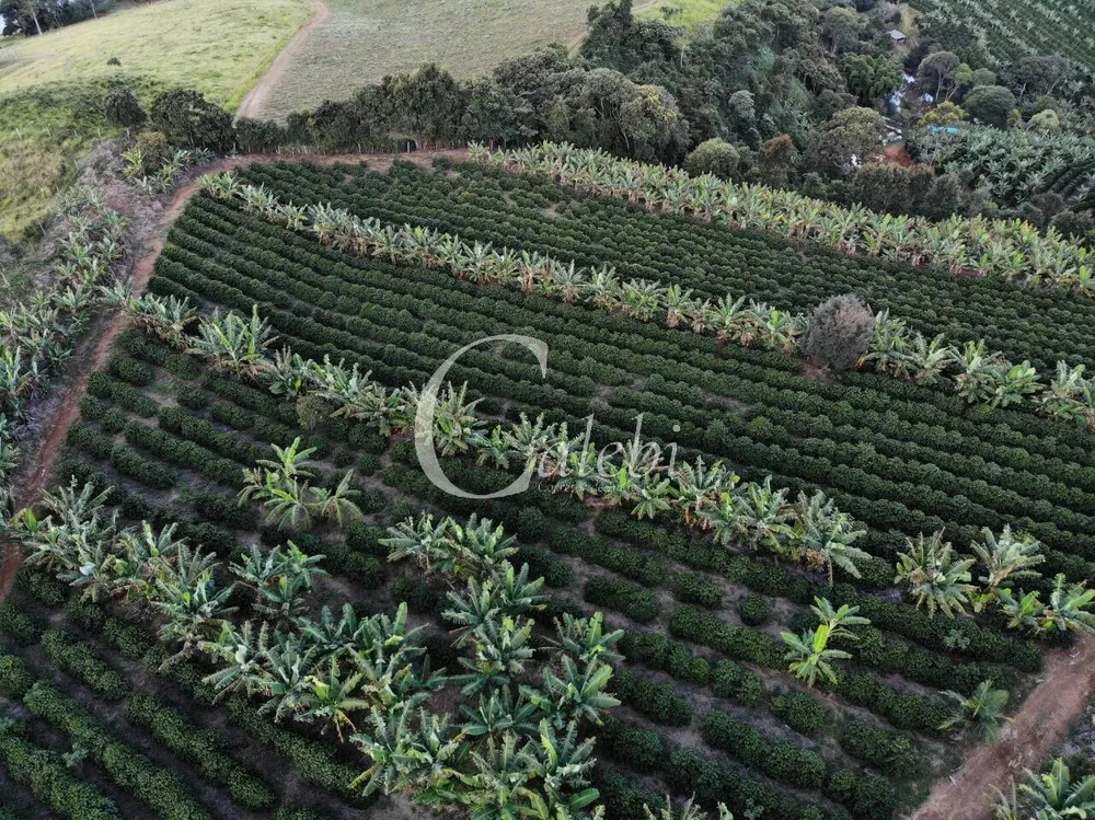 Terreno, 8 hectares - Foto 11