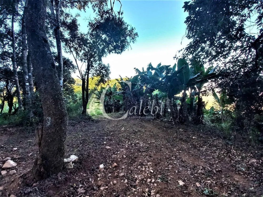Terreno, 8 hectares - Foto 1