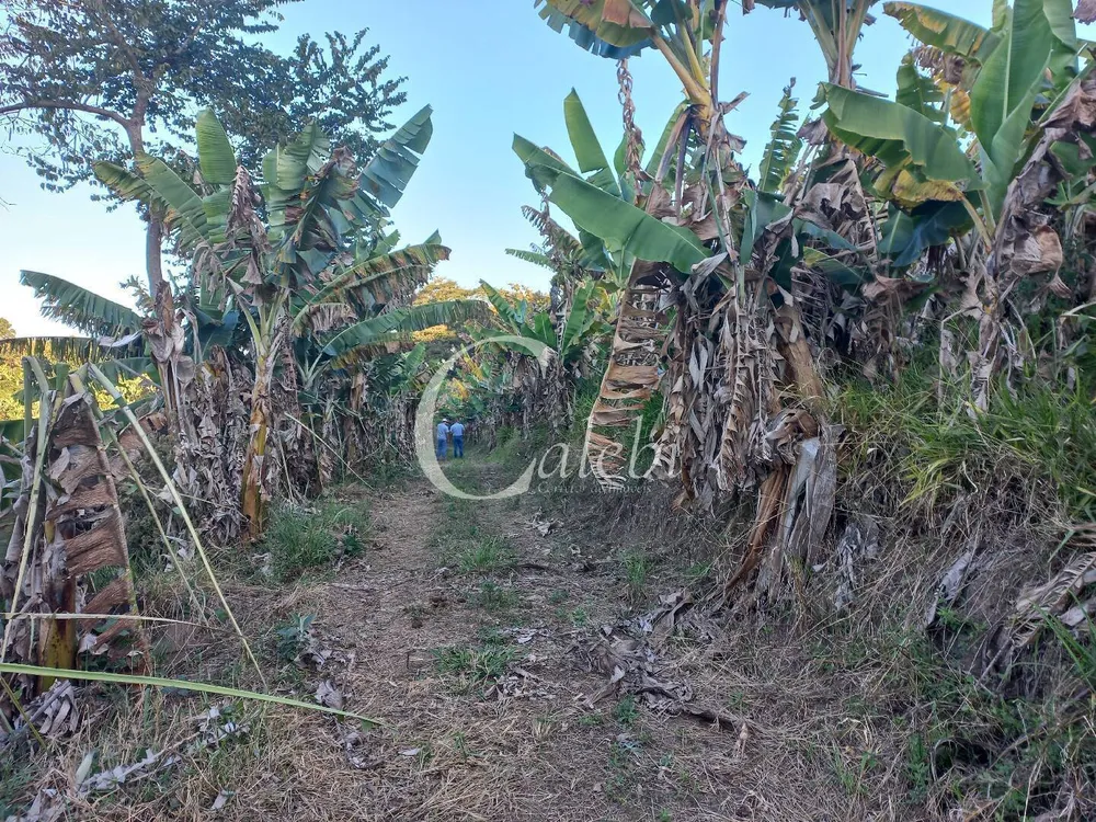 Terreno, 8 hectares - Foto 6