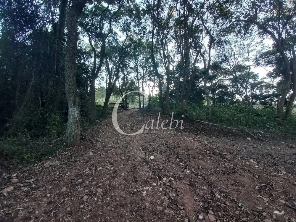 Terreno, 8 hectares - Foto 9