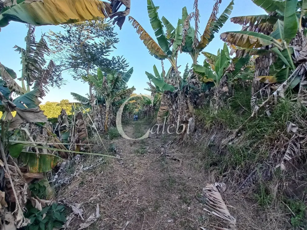 Terreno, 8 hectares - Foto 7