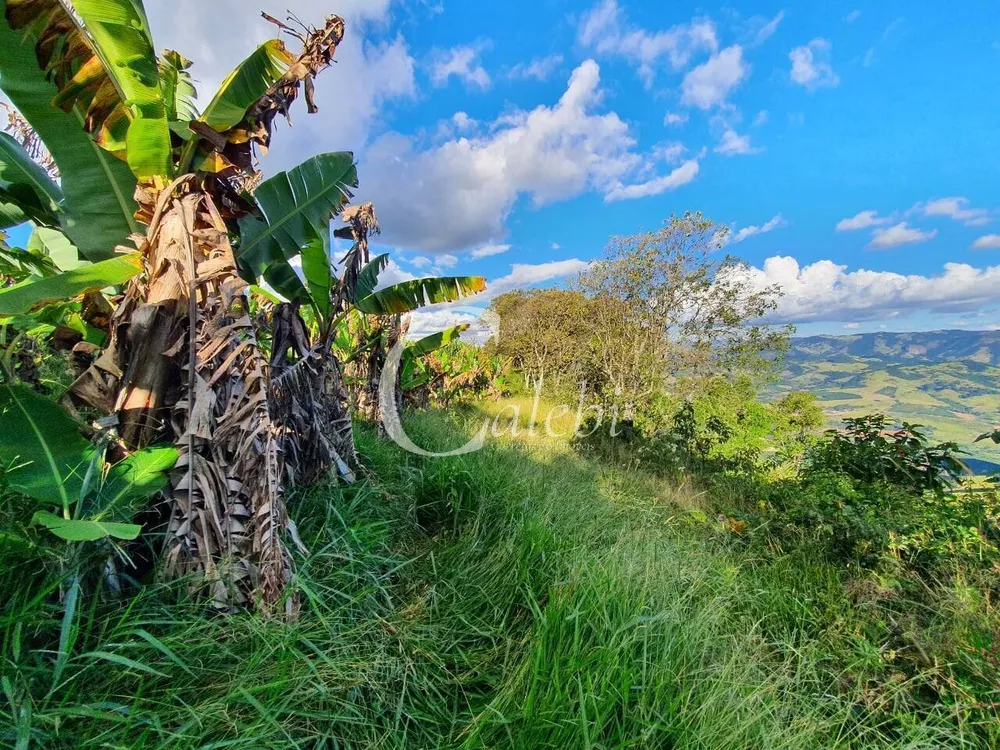 Terreno, 8 hectares - Foto 12