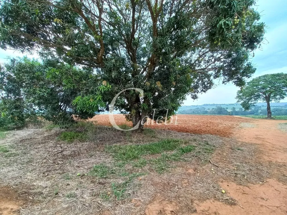 Terreno, 4 m² - Foto 4