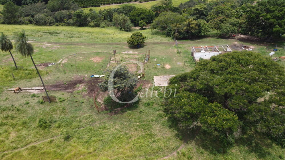 Sítio à venda com 3 quartos, 11m² - Foto 4
