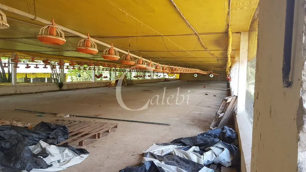 Sítio, 10 quartos, 6365 m² - Foto 1