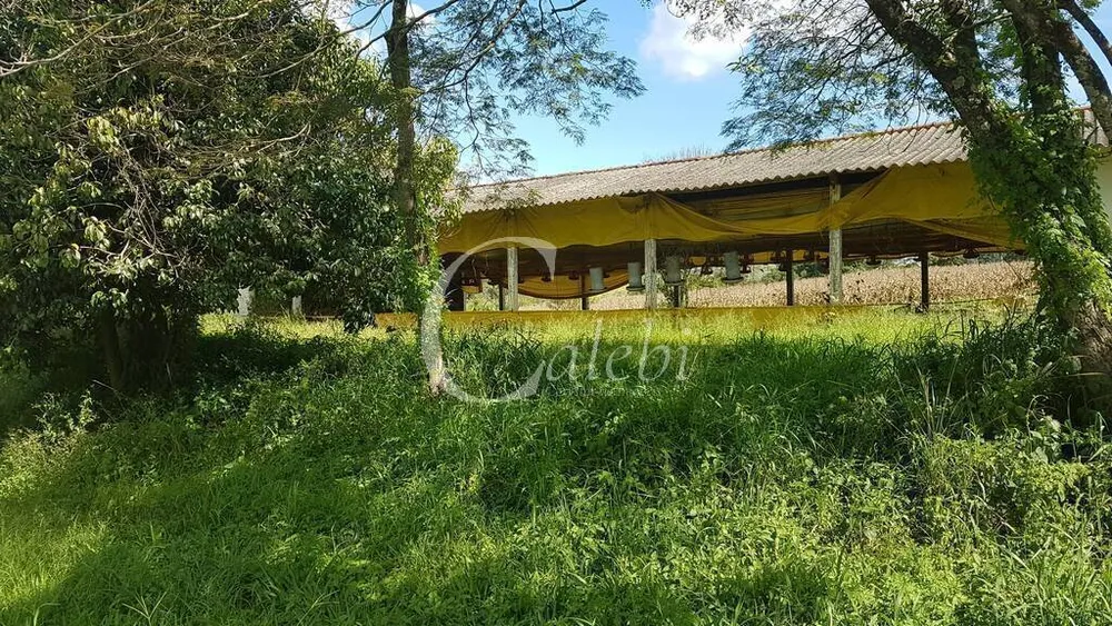 Sítio, 10 quartos, 6365 m² - Foto 6