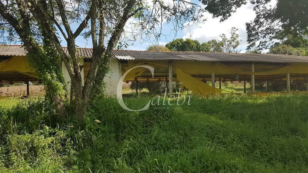 Sítio, 10 quartos, 6365 m² - Foto 7