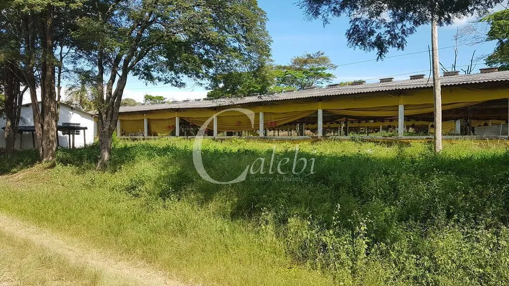 Sítio, 10 quartos, 6365 m² - Foto 3