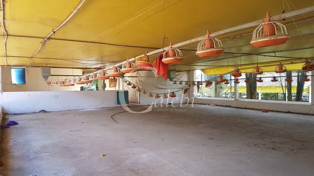 Sítio, 10 quartos, 6365 m² - Foto 2