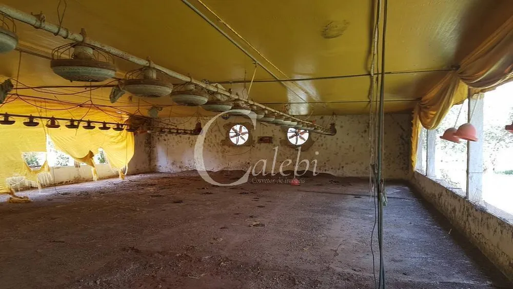 Sítio, 10 quartos, 6365 m² - Foto 10