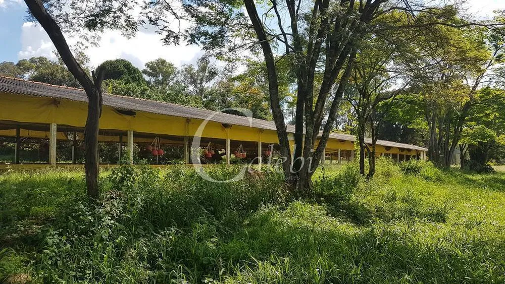 Sítio, 10 quartos, 6365 m² - Foto 8