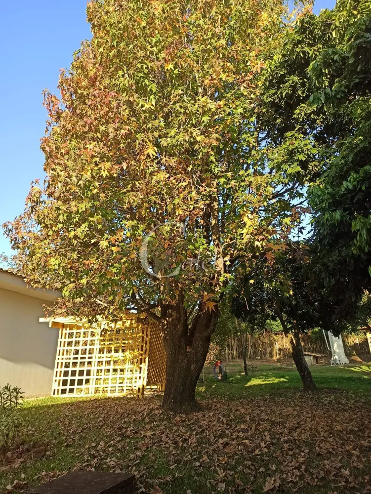 Chácara, 1 hectares - Foto 12