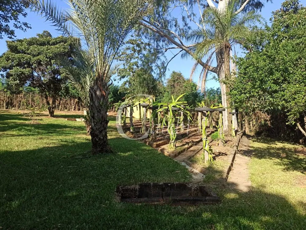 Chácara, 1 hectares - Foto 4