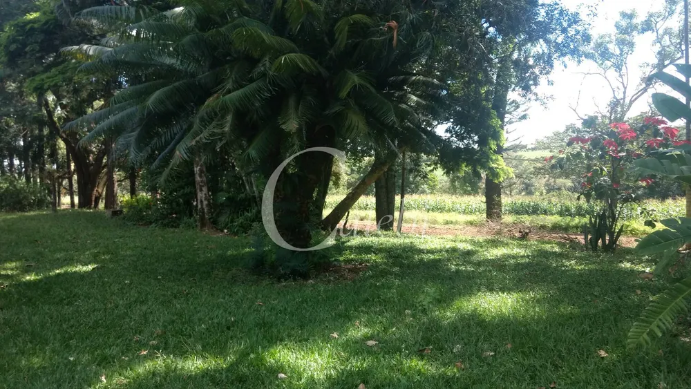 Sítio, 3 quartos, 4 m² - Foto 7