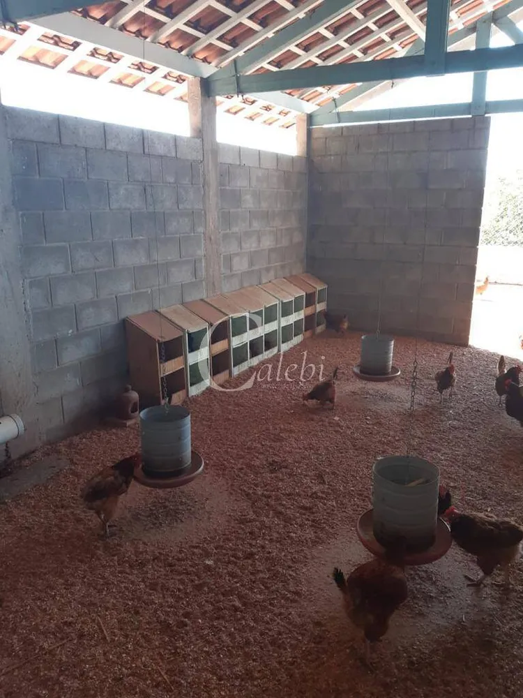 Sítio, 3 quartos, 3 m² - Foto 15