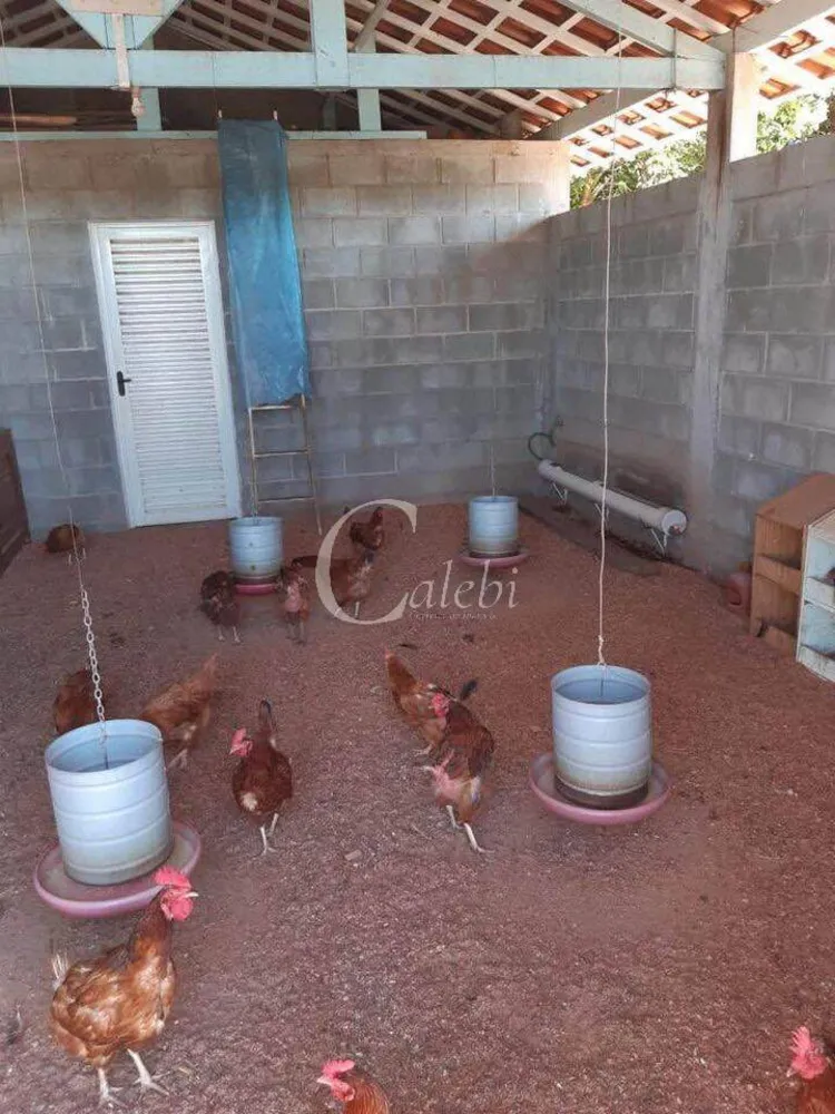 Sítio, 3 quartos, 3 m² - Foto 16