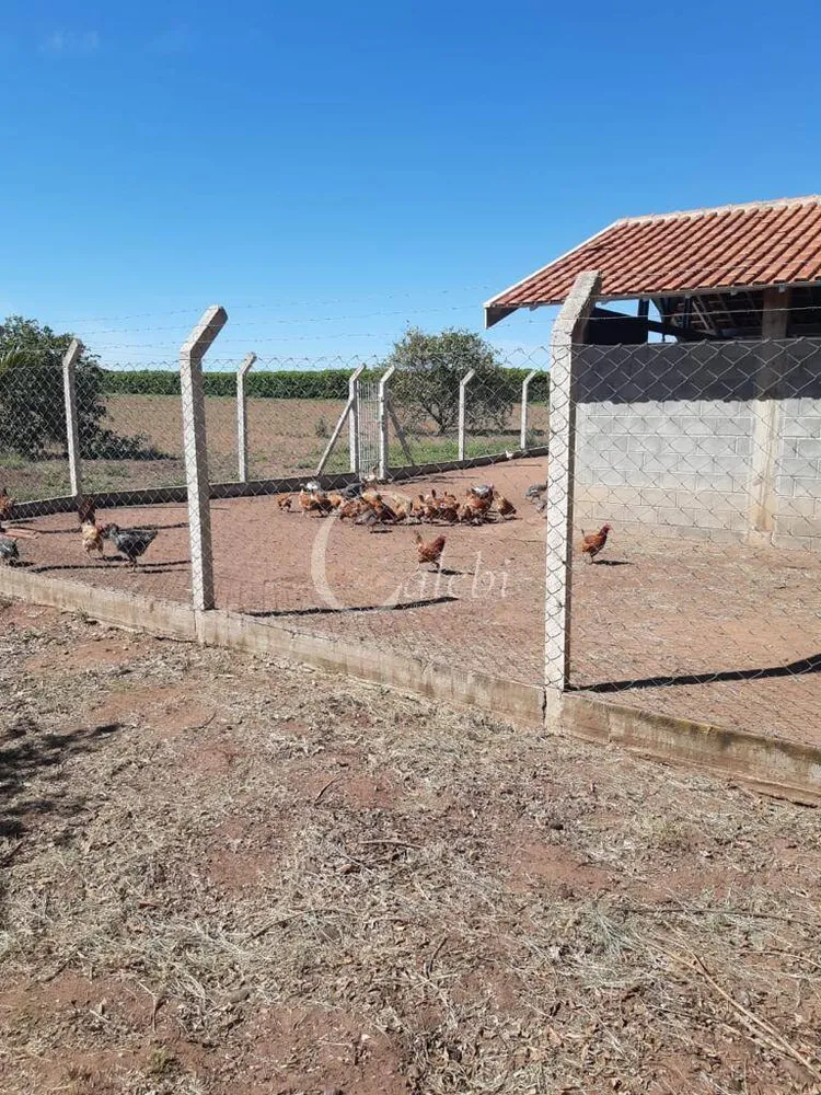 Sítio, 3 quartos, 3 m² - Foto 7