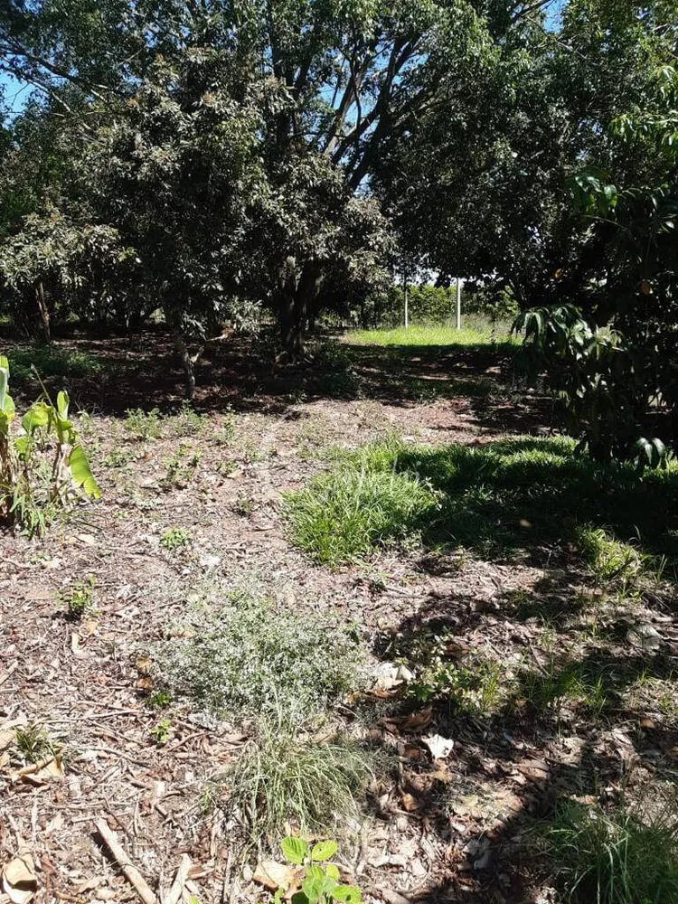 Sítio, 3 quartos, 3 m² - Foto 10